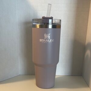 Stanley Purple Tumbler with Straw